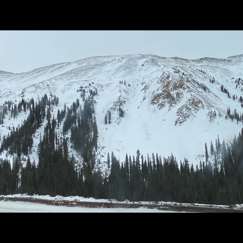 Meet your Posher, Paola